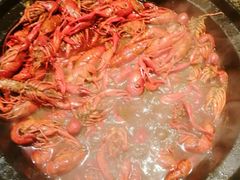 -星伦多自助料理(华润万象城店)