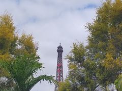 -华侨城湿地公园