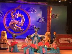 -金东尼人妖秀