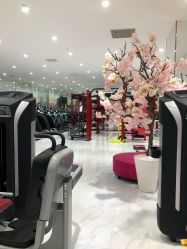 -葆姿普拉提·瑜伽