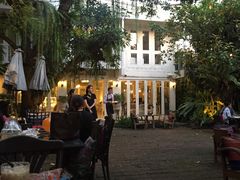 -Fern Forest Cafe