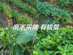 -上海老范农家乐(崇明前卫村店)