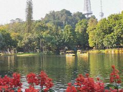 -广州珠江公园