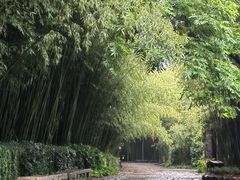 -竹泉村旅游度假区