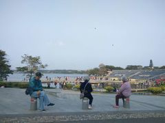 -松山湖南湖湾露营营地