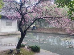 -兰亭风景区