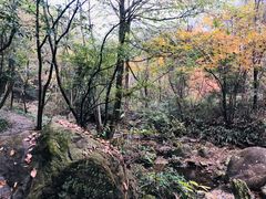 -白云源风景区