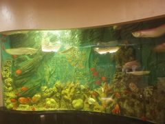 -红莲中餐厅(日航饭店)