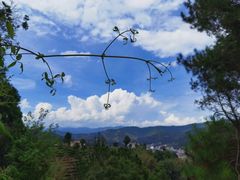 -墨江北回归线标志园