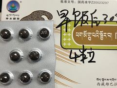 -北京藏医院