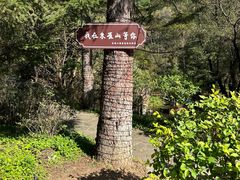-吉林市朱雀山国家森林公园