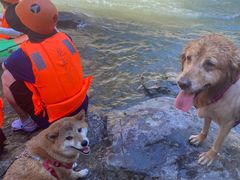 -安吉龙王山峡谷漂流