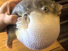 -永安鱼庄·镇江菜(丁卯店)