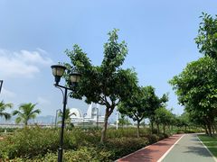 -野狸岛