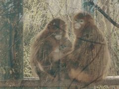 -宁波野生动物园