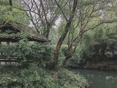 -西溪国家湿地公园