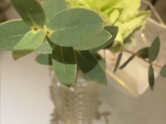 -西堤牛排(北京国瑞店)