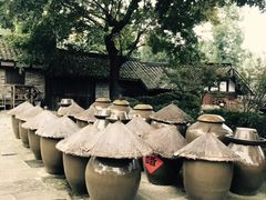 -秀丽东方