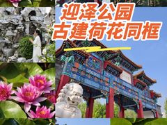 -迎泽公园