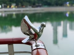 -西北湖绿化广场