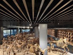 -大庆市博物馆