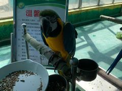 -廊坊市自然公园