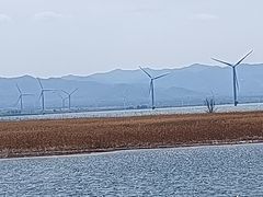 -野鸭湖国家湿地公园