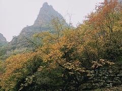 -孤山寨风景区