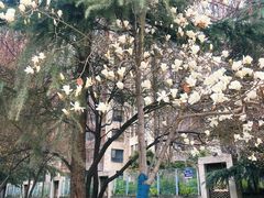 -木塔寺遗址生态公园