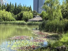 -新虹桥中心花园