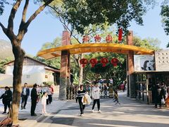 -柳州市动物园
