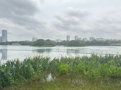 -南宁南湖公园