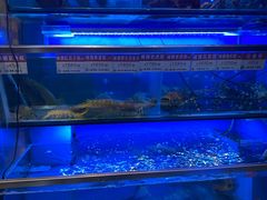 水产区-協成海鮮火鍋(老店)