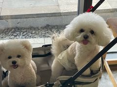 -唐城墙遗址公园