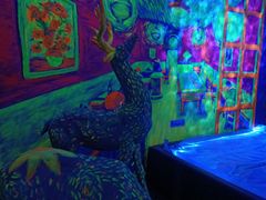 -天津梵高星空艺术馆(天河城旗舰店)