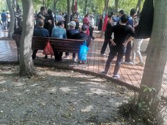 -长春公园(普阳街道)