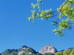 -秦岭风景区
