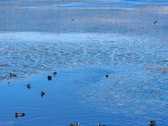 -野鸭湖国家湿地公园