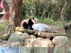 -广州长隆野生动物世界