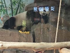 -济南野生动物世界