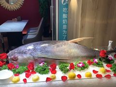 -金沙会馆