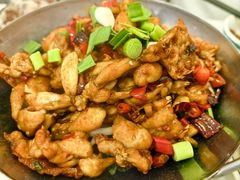 干锅牛蛙-新新湘菜馆(新中街二条店)