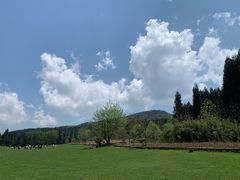 -武陵山森林公园