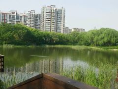 -新江湾城公园