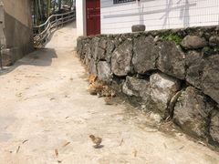 -山沟沟景区