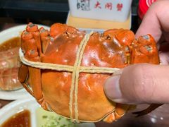 -黄记大闸蟹专卖店·活蟹·醉蟹