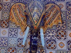 -傣妹火锅(四川北路店)