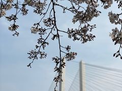 -上海南浦大桥长途旅游客运站