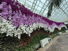 -石家庄市植物园