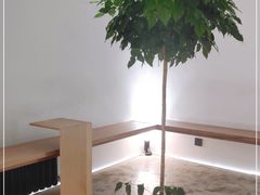 -光作面包Voila Lumiere(中山店)